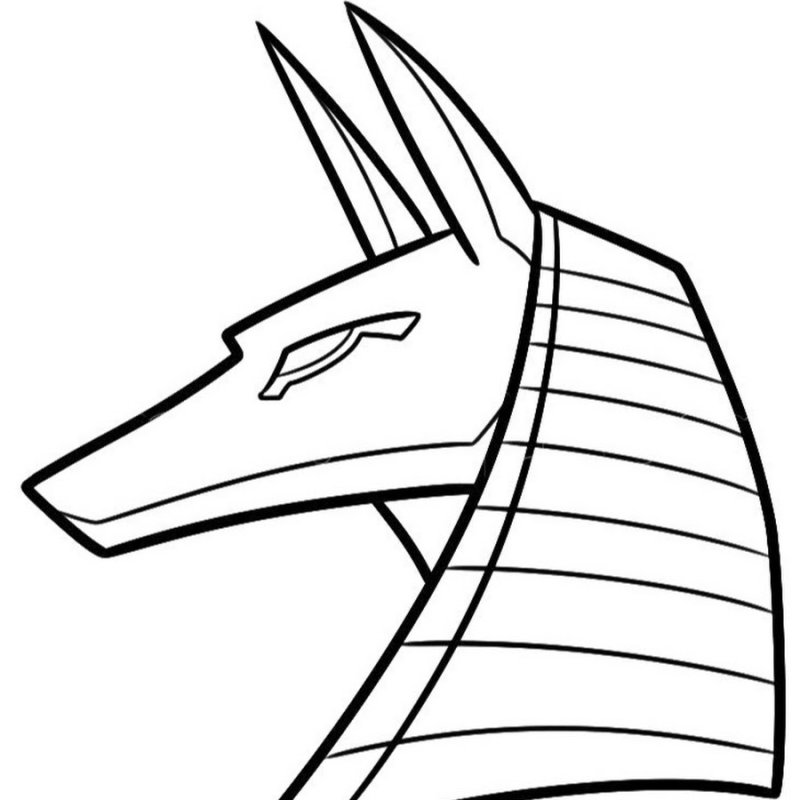 Легкие египта