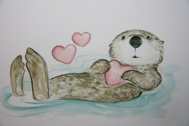 Otter рисунок
