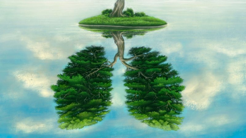 Рисунок лес легкие планеты