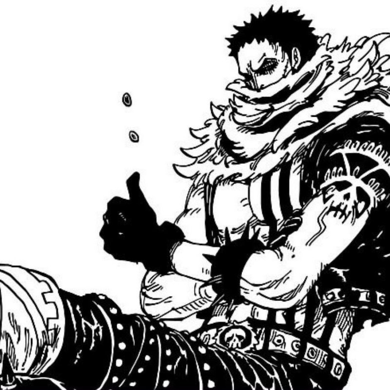 катакури шарлотта