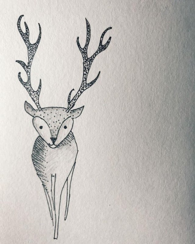 Рисунок оленя для срисовки