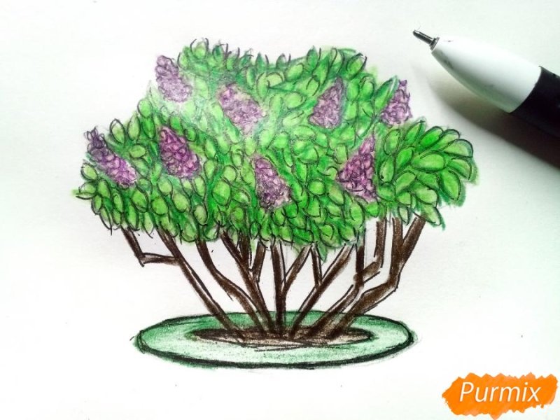 Кусты для рисования