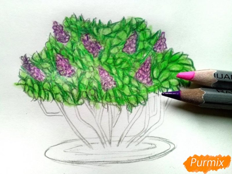 Кусты для рисования