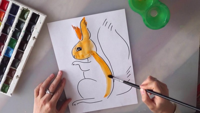 Белка рисунок легко