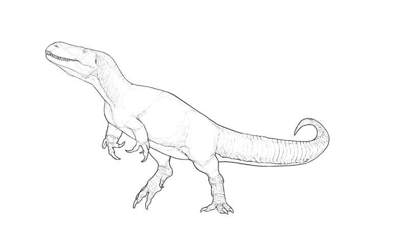 Раскраска динозавр Мегалозавр