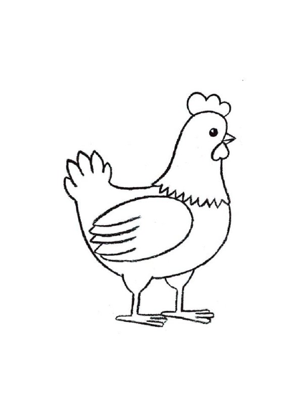 Курица раскраска