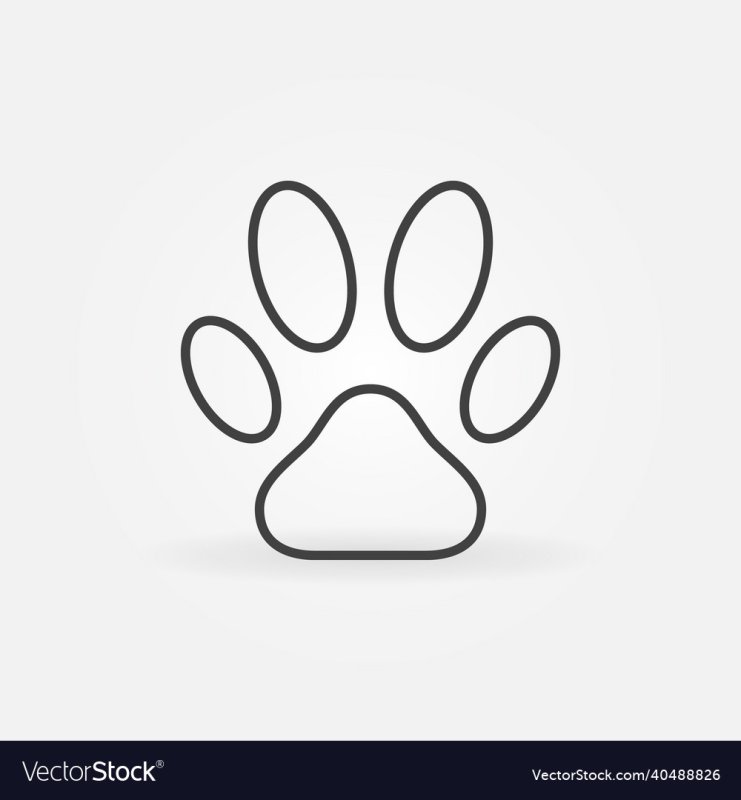 Отпечаток лапки котика