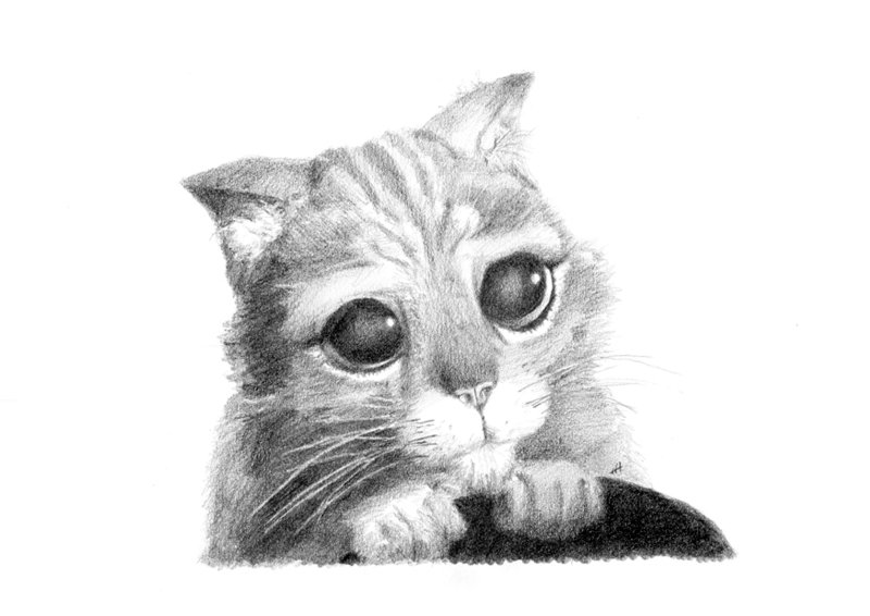 Рисунки карандашом