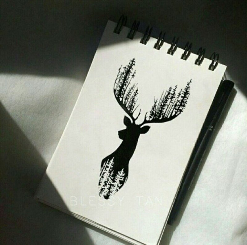 Рисунки для скетчбука черно белые