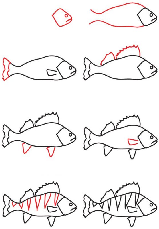 Поэтапный рисунок рыбы