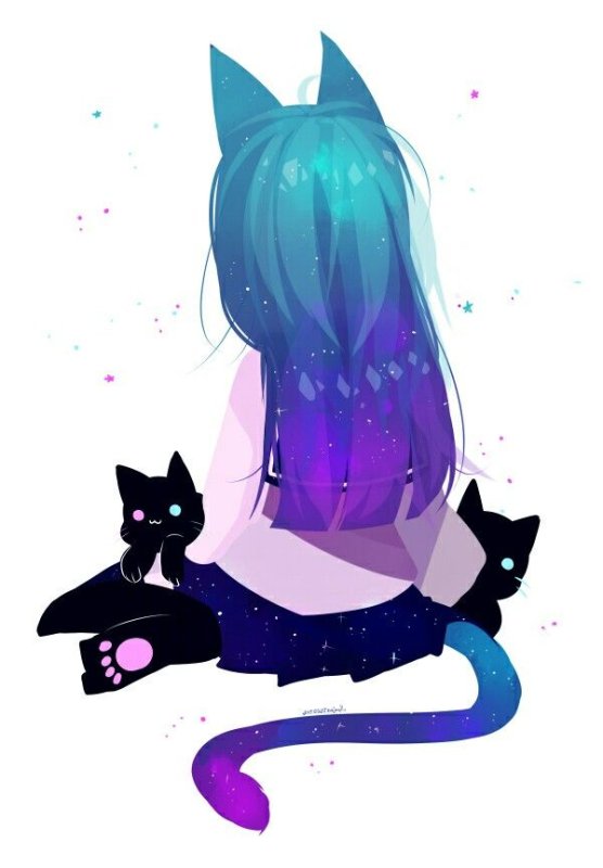Котики арты
