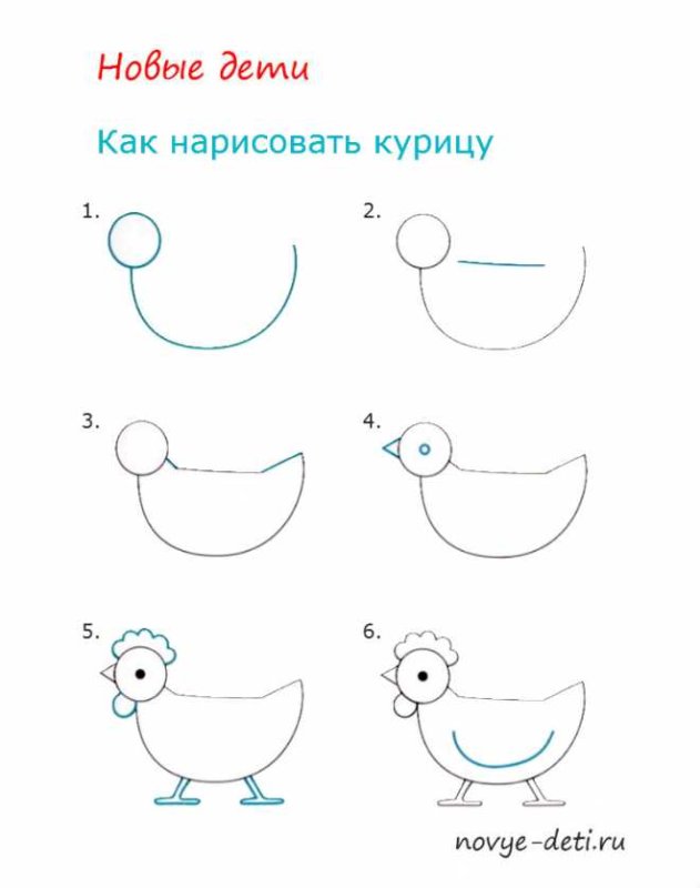 Поэтапный рисунок курицы