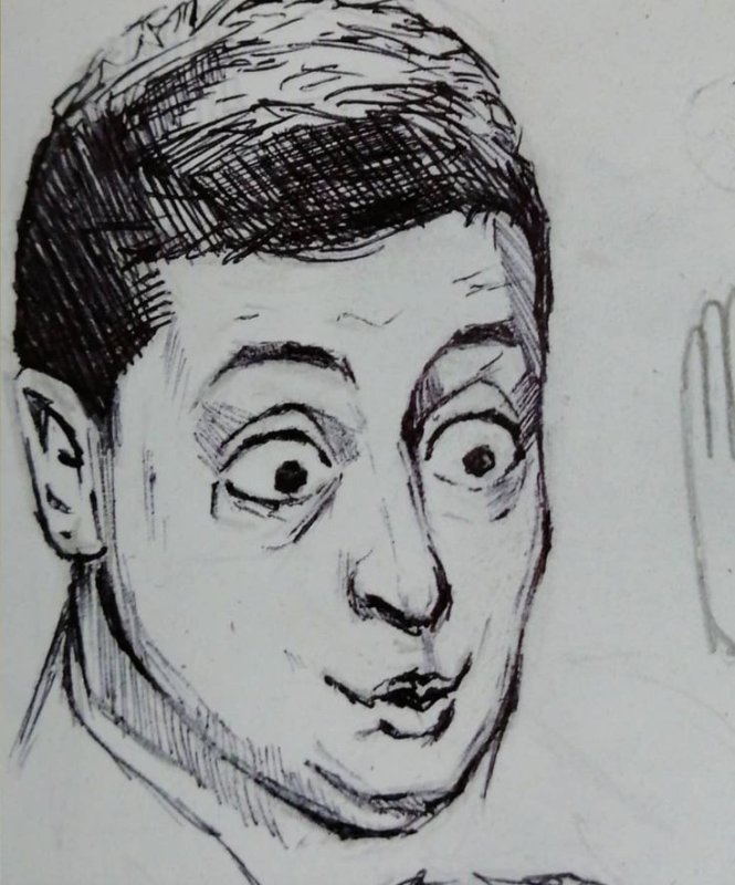 Зеленский портрет