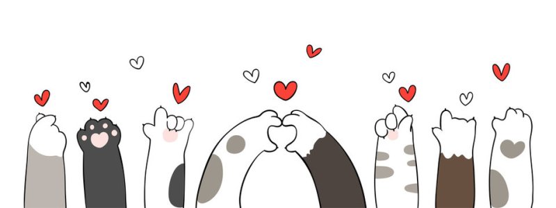 Кошачья лапка рисунок милый