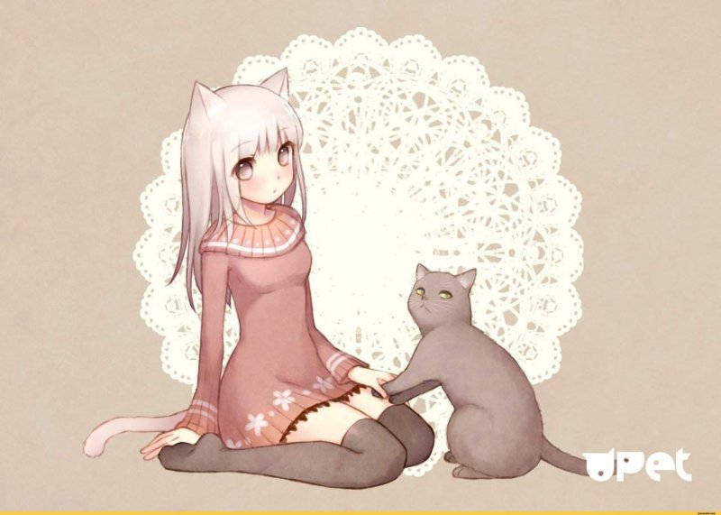 Аниме девочка кошка