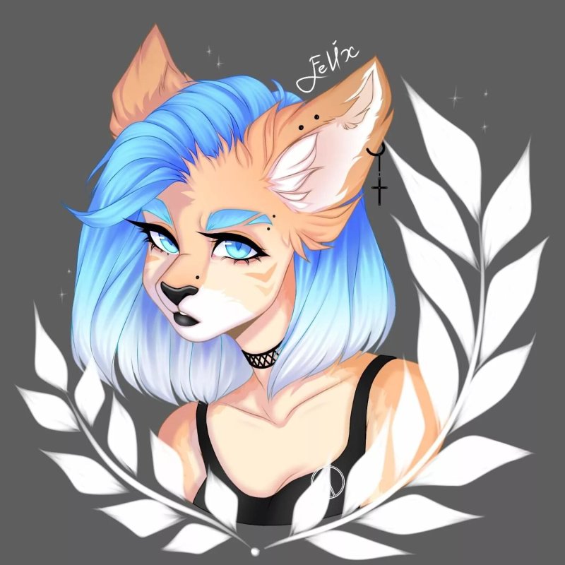 фурри ос персы