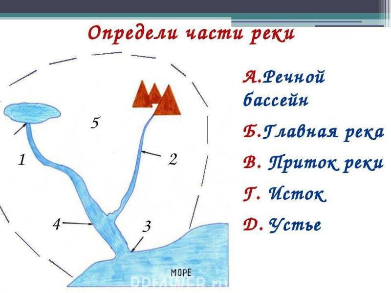 Схема реки Исток приток русло Устье