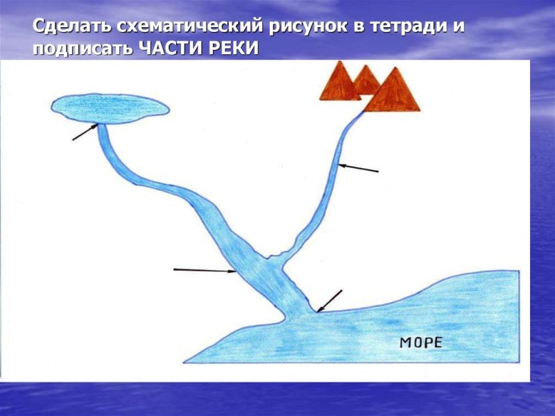 Схематическое изображение реки