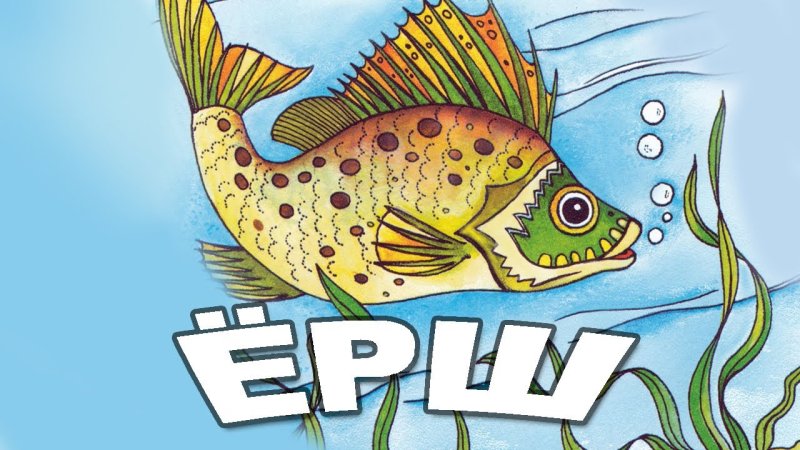 Ерш рыба