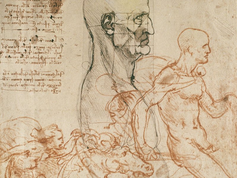 Леонардо да Винчи профиль