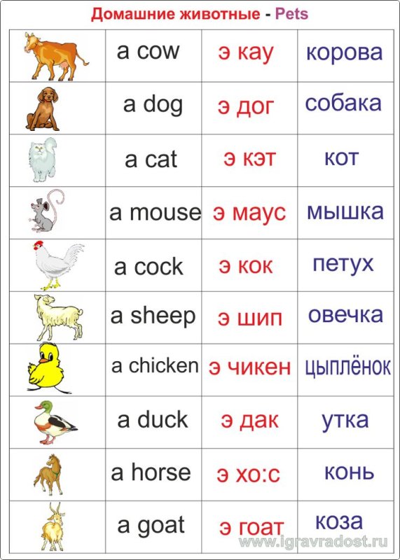 Сова английский для детей