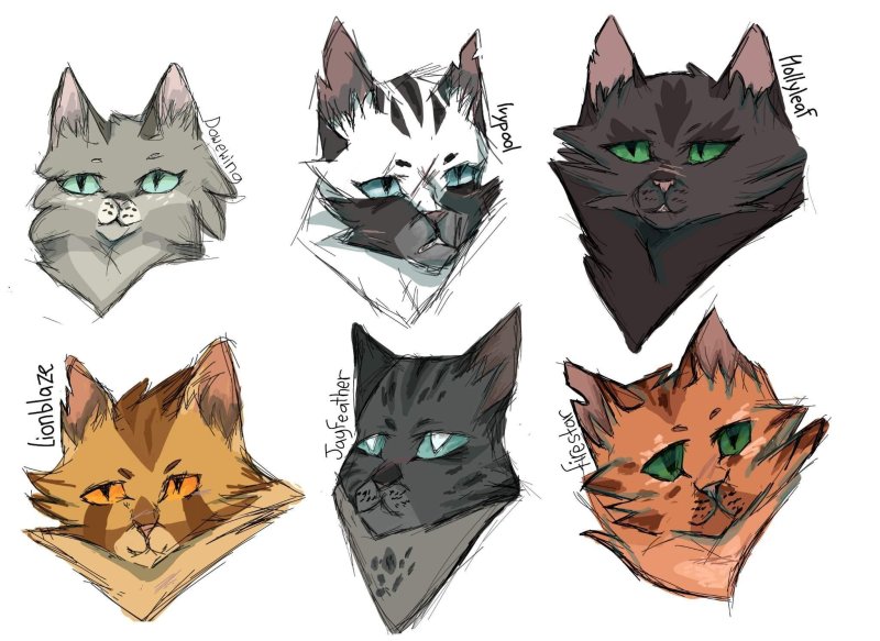 Коты Воители marymsjay