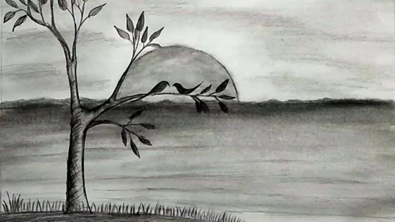 Рисунки карандашом природа