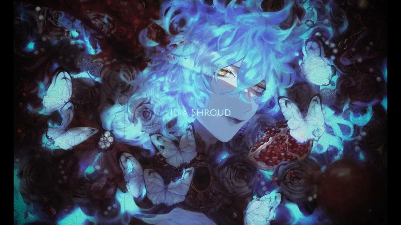 Idia Shroud