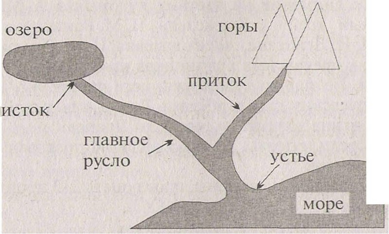 Части реки: Исток, Устье, русло, притоки