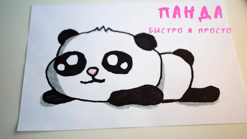 Панда рисунок карандашом