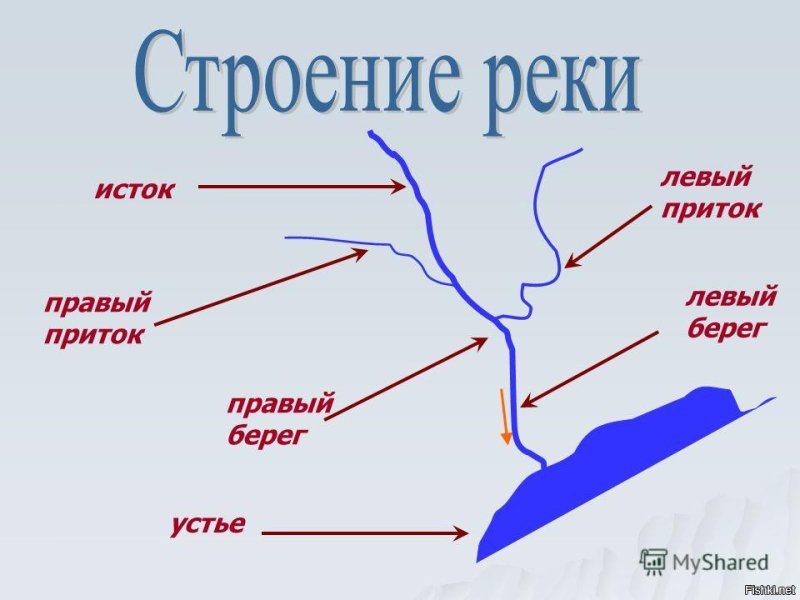 Схема рек Исток Устье правый приток