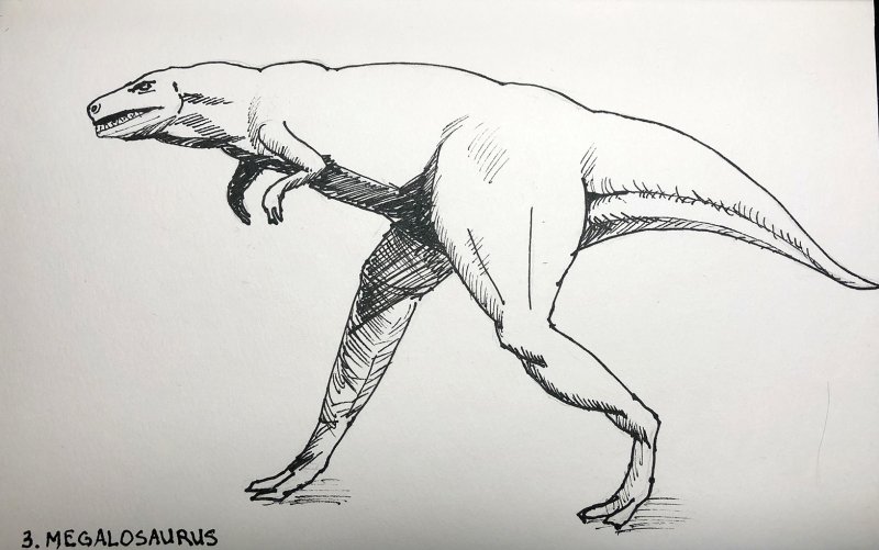 Мегалозавр динозавр