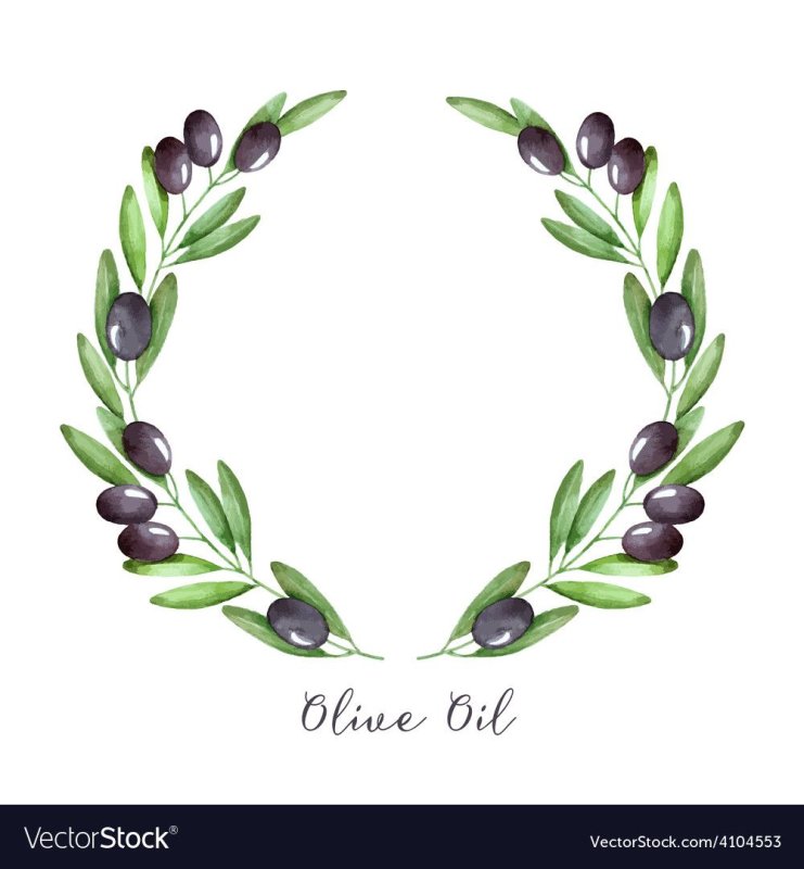 Ветка оливы венок