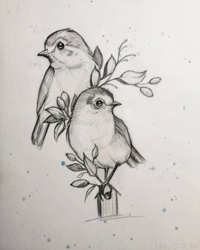 Рисунки эскиз природа цветы птицы