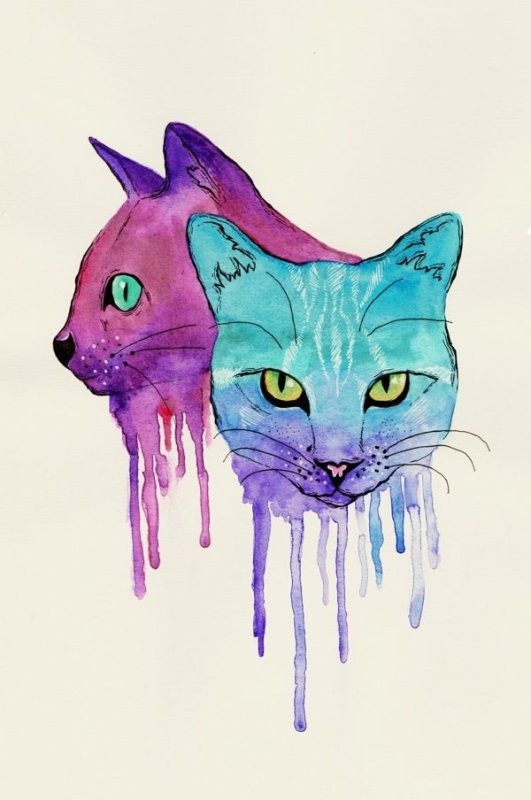 Разноцветная кошка рисунок