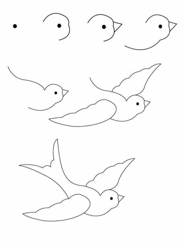 Рисунки птичек для срисовки