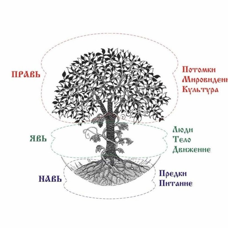 Древо мироздания древних славян
