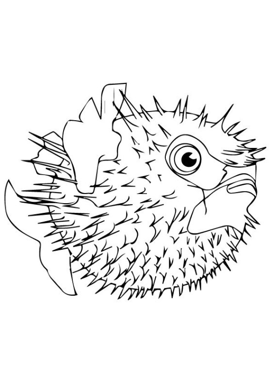 Удильщик раскраска