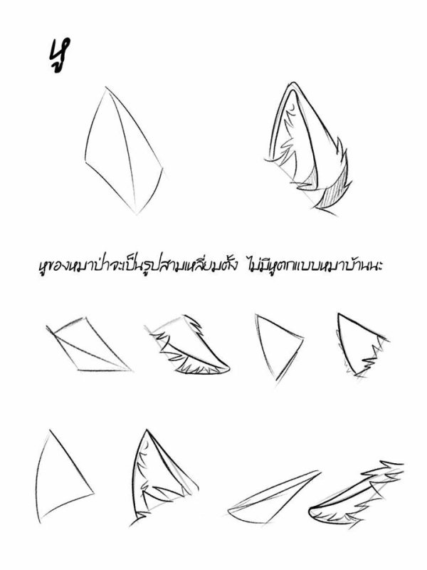 Кошачьи уши референс аниме