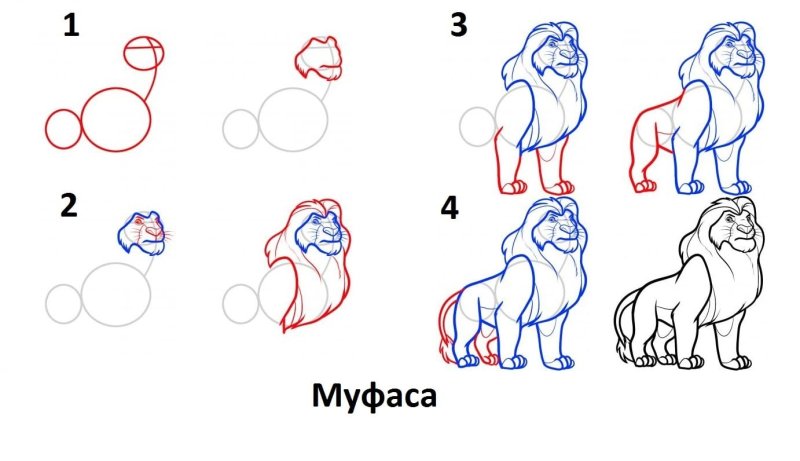 Лев рисунок по этапно