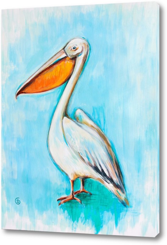 Пеликан рисунок в цвете