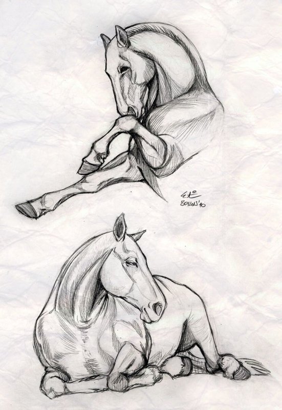 Лошадь рисунок карандашом