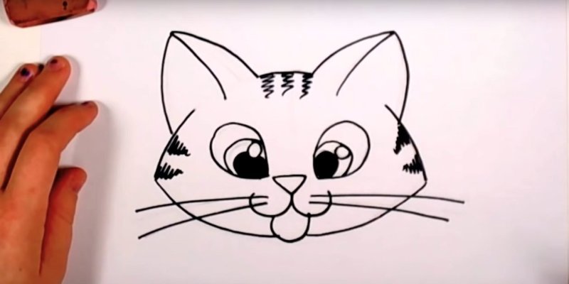 Мордочка кошки для срисовки