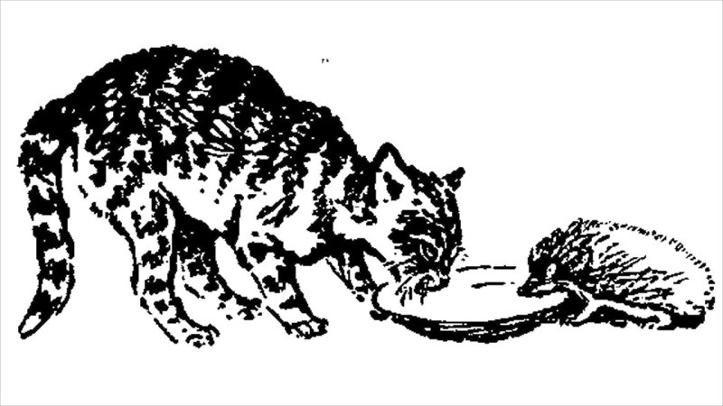 Кот Иваныч Скребицкий