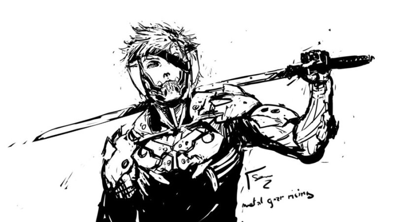 Raiden Metal Gear
