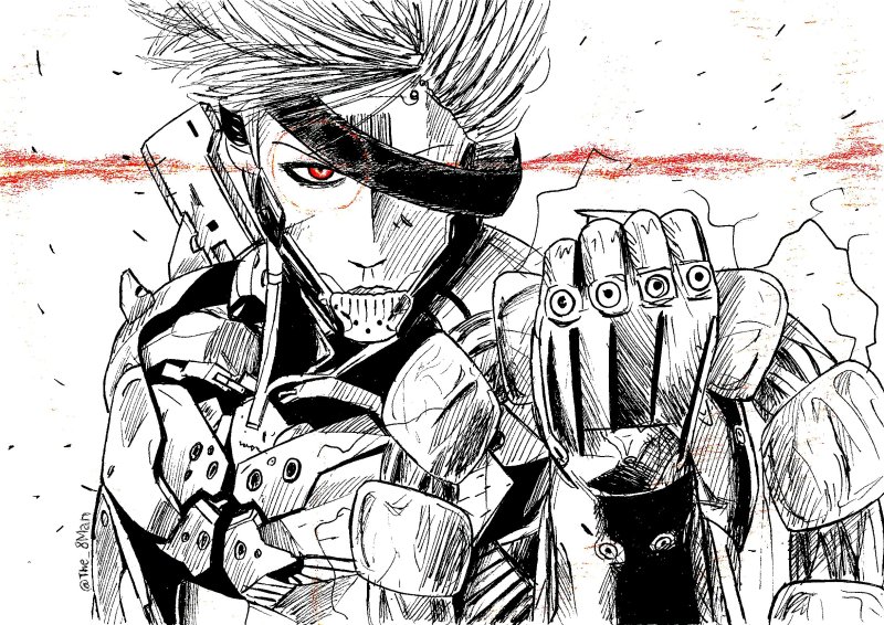 Raiden Metal Gear