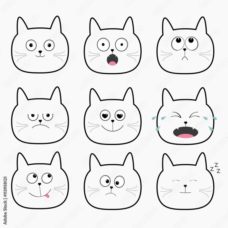 Маленькая мордочка котика