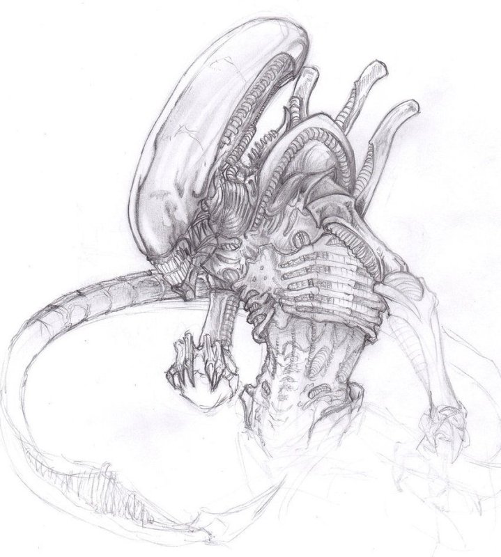 Xenomorph скетч