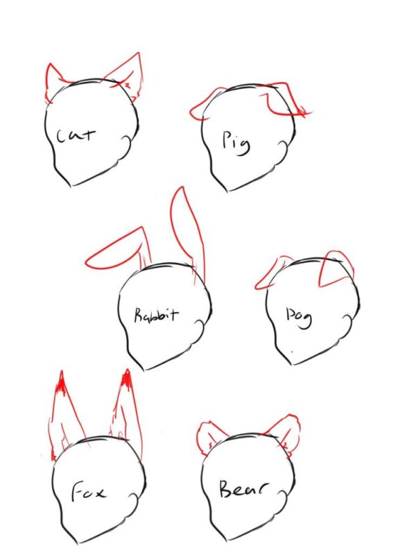 Референсы кошачьих ушей