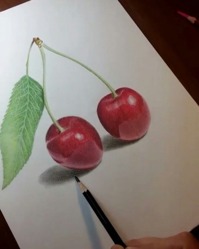 Вишня рисунок карандашом